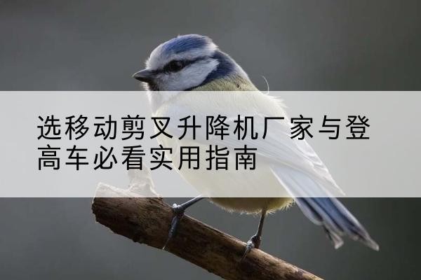 四平电动升降机厂家-选移动剪叉升降机厂家与登高车必看实用指南