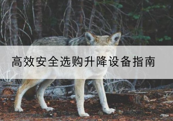 四平升降货梯厂家推荐-*安全选购升降设备指南